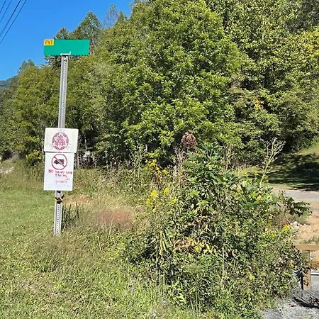 Pet-Friendly Leicester Mountain View Escape